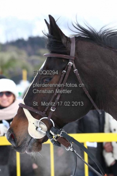 ET0Q0294 prot